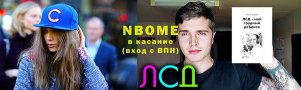 бошки Бородино
