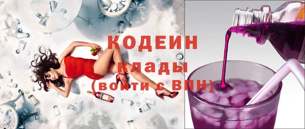 бошки Бородино