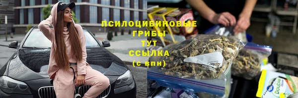Альфа ПВП Беломорск
