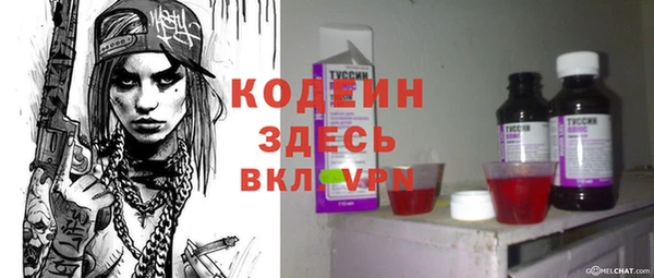 бошки Бородино