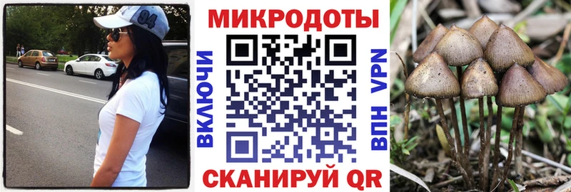 Галлюциногенные грибы Psilocybe  Верхняя Тура 